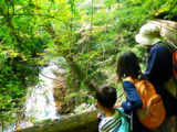 水曜ハイキング　止々呂美から豊能の自然を楽しむ
