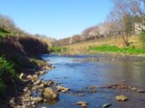 「川西まちづくり講座」里山に流れる小川で春の魚や両生類、水生昆虫を探します。